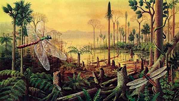 Vue d'artiste de la Terre (à l'air libre, pas mal de choses continuent de se passer dans l'eau) au Carbonifère. Comme pour l'image du Dévonien, on voit surtout beaucoup de plantes, mais quelques formes de vies animales ont aussi fait leur apparition, notamment des sortes de libellules géantes dont on reparlera probablement si on aborde les records de taille du monde animal.