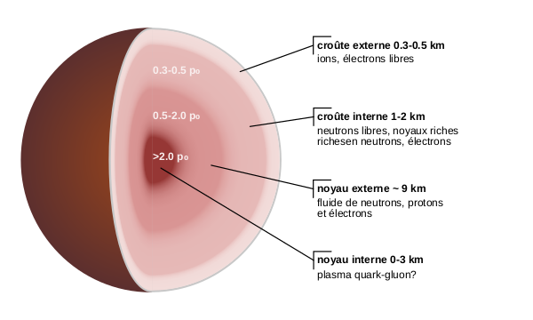 Structure interne d'une étoile à neutrons, montrant plusieurs couches. Bien qu'il soit principalement constitué de neutrons, qui, avec les protons, forment le noyau des atomes, un tel objet n'est pas comparable à un noyau atomique géant. En son cœur, la matière est tellement compressée qu'elle se transforme peut-être en plasma de quarks et de gluons.