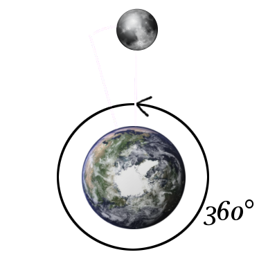 Schéma (assemblé par moi parce que je n'ai malheureusement pas trouvé d'image montrant simplement ça) représentant (pas à l'échelle) la Terre qui tourne sur elle-même, et la Lune qui lui tourne autour. En vingt-quatre heures, la Terre a fait un tour complet, mais la Lune a avancé sur son orbite d'environ treize degrés. Il faudra donc cinquante minutes supplémentaires pour que la rotation de la Terre rattrape ce décalage et que l'endroit qui était juste pile sous la Lune au départ s'y trouve de nouveau, d'où le décalage dans l'horaire des marées d'un jour sur l'autre.
