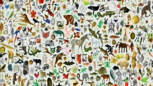 Échantillon d'espèces (capture d'écran de l'intro du documentaire Espèces d'espèces, dont je reparlerai plus bas). On voit, sur fond blanc, tout un tas d'êtres vivants (dessinés dans des styles différents) donnant un aperçu de la biodiversité actuelle. Échantillon d'espèces (capture d'écran de l'intro du documentaire Espèces d'espèces, dont je reparlerai plus bas). On voit, sur fond blanc, tout un tas d'êtres vivants (dessinés dans des styles différents) donnant un aperçu de la biodiversité actuelle.