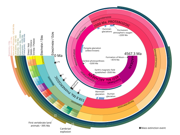 Représentation de l'échelle des temps géologique (trouvée sur la page Wikipédia anglophone sur le sujet, et ici organisée en spirale, j'imagine que ça prend moins de place qu'en ligne). On voit les différentes ères qui se sont succédé depuis la formation de notre planète, avec une indication des cinq grandes extinctions de masses visibles dans le registre fossile. La vie telle que nous la connaissons, avec des animaux et des végétaux, n'a occupé qu'une toute petite partie de l'histoire de notre planète, et pourtant celle-ci est largement plus jeune que notre univers.