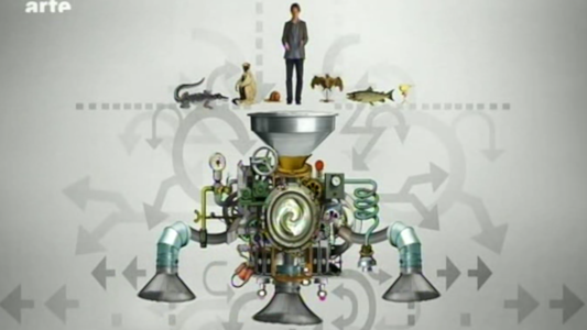 La « machine à classer » qu'on voit dans le documentaire Espèces d'espèces. On voit un crocodile, un singe, un escargot, le présentateur du documentaire (représentant les humains), une chauve-souris, une truite et un canari au dessus d'une grosse machine bizarre avec des mécanismes complexes, une sorte d'entonnoir en entrée et trois autres en sortie. Dans le documentaire, cela représente les premières tentatives de classement, en fonction de différents critères tels que la présence d'ailes ou le nombre de pattes utilisés pour la locomotion (Aristote a également pas mal utilisé ce dernier critère). La « machine à classer » qu'on voit dans le documentaire Espèces d'espèces. On voit un crocodile, un singe, un escargot, le présentateur du documentaire (représentant les humains), une chauve-souris, une truite et un canari au dessus d'une grosse machine bizarre avec des mécanismes complexes, une sorte d'entonnoir en entrée et trois autres en sortie. Dans le documentaire, cela représente les premières tentatives de classement, en fonction de différents critères tels que la présence d'ailes ou le nombre de pattes utilisés pour la locomotion (Aristote a également pas mal utilisé ce dernier critère).
