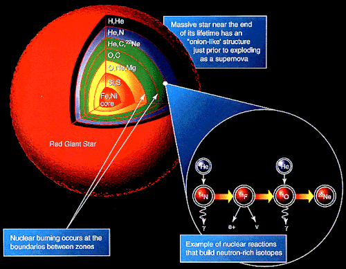 Structure d'une étoile supergéante rouge en toute fin de vie. On voit plusieurs couches réalisant chacune une étape particulière de la fusion des atomes, l'hydrogène étant fusionné en hélium dans la couche la plus externe, tandis que le cœur produit du fer. Un exemple de chaîne de réaction est fourni.