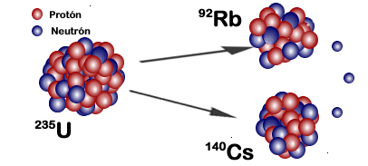 Schéma (trouvé sur Wikimedia Commons) montrant un noyau d'uranium (U) se séparant en deux noyaux plus petits, l'un de césium (Cs) et l'autre de rubidium (Rb). Les noyaux sont montrés par des combinaisons de boules de deux couleurs représentant les protons et les neutrons, et à côté, leur symbole chimique est indiqué accompagné d'un nombre (donné en exposant juste avant les lettres) indiquant le nombre total de nucléons, je reparle de ça juste en dessous. On parle ici de fission nucléaire car le noyau d'origine se casse en plusieurs autres. Pour les atomes plus légers comme le carbone mentionné plus bas, on parle plutôt de désintégrations.