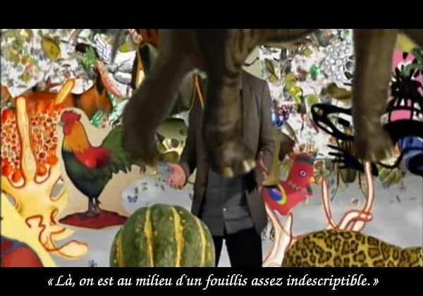 Capture d'écran du documentaire Espèces d'espèces montrant un échantillon du monde vivant représenté par des animaux et végétaux dans divers styles graphiques en train de bouger dans tous les sens. Le présentateur de l'émission (qu'on devine au milieu de l'image, mais sa tête n'est pas visible, un animal étant en train de passer au premier plan devant lui) explique « Là, on est au milieu d'un fouillis assez indescriptible. » Capture d'écran du documentaire Espèces d'espèces montrant un échantillon du monde vivant représenté par des animaux et végétaux dans divers styles graphiques en train de bouger dans tous les sens. Le présentateur de l'émission (qu'on devine au milieu de l'image, mais sa tête n'est pas visible, un animal étant en train de passer au premier plan devant lui) explique « Là, on est au milieu d'un fouillis assez indescriptible. »
