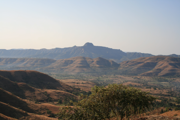 Photo (encore trouvée sur Wikipédia) de la région de Pune, en Inde, constituée de roches basaltiques résultant de ces éruptions dantesques. On voit un arbre au premier plan, mais l'important est surtout la chaîne de montagnes située plus loin, au centre de l'image, et dans laquelle on devine l'empilement de couches successives de lave sur une sacré hauteur.
