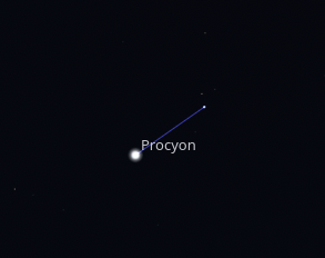 Capture d'écran de Stellarium montrant la constellation du petit chien. On voit juste un trait reliant l'étoile Procyon (explicitement nommée) à une de ses voisines, et pas plus de formes à part ça.