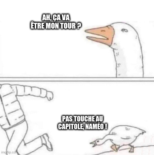 Mème en deux vignettes de l'oie qui pourchasse un type. En première vignette, on voit l'oie relever la tête et demander « Ah, ça va être mon tour ? », puis dans la seconde vignette, on la voie foncer sur le type en criant « Pas touche au capitole, naméo ! »