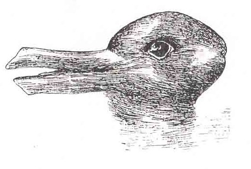 Illusion d'optique. Selon la façon dont on la regarde, celle image représente soit un canard regardant vers la gauche, soit un lapin regardant vers le haut, ses oreilles correspondant au bec du volatile.