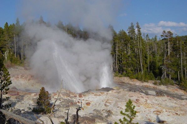 Photographie, trouvée sur la page Wikipédia dédiée aux geysers, du Steamboat, un geyser de Yellowstone connu pour être un des plus grands sur Terre. On voit sur l'image un sol rocheux avec des arbres en arrière-plan, et au milieu, de fortes projections d'eau ressemblant un peu aux projections de lave ayant lieu lors d'une éruption volcanique. Il faut dire que les geysers sont souvent liés à l'activité volcanique : c'est la présence d'une chambre magmatique en profondeur qui va provoquer la montée en température et en pression de l'eau jusqu'à ce qu'elle jaillisse ainsi. C'est donc un processus un peu différent de celui dont on va parler maintenant, qui se passe à des températures beaucoup plus froide et où l'eau occupe directement le rôle joué chez nous par le magma.