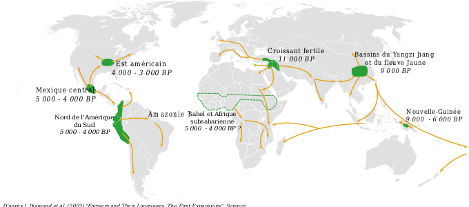 Carte montrant les différents foyers d'émergence de l'agriculture et la façon dont elle s'est répandue à l'ensemble de la planète. L'agriculture européenne hérite de celle apparue dans le croissant fertile (proche et moyen-orient actuels) il y a onze mille ans, mais d'autres foyers sont apparus en Chine il y a neuf mille ans, en nouvelle guinée il y a entre neuf et six mille ans, probablement en Afrique il y a cinq à quatre mille ans, et sur le continent américain, où on compte un foyer au sud-ouest (cinq à quatre mille ans), un dans l'actuel Mexique (cinq à quatre mille ans) et un au nord-est (quatre à trois mille ans). Carte montrant les différents foyers d'émergence de l'agriculture et la façon dont elle s'est répandue à l'ensemble de la planète. L'agriculture européenne hérite de celle apparue dans le croissant fertile (proche et moyen-orient actuels) il y a onze mille ans, mais d'autres foyers sont apparus en Chine il y a neuf mille ans, en nouvelle guinée il y a entre neuf et six mille ans, probablement en Afrique il y a cinq à quatre mille ans, et sur le continent américain, où on compte un foyer au sud-ouest (cinq à quatre mille ans), un dans l'actuel Mexique (cinq à quatre mille ans) et un au nord-est (quatre à trois mille ans).