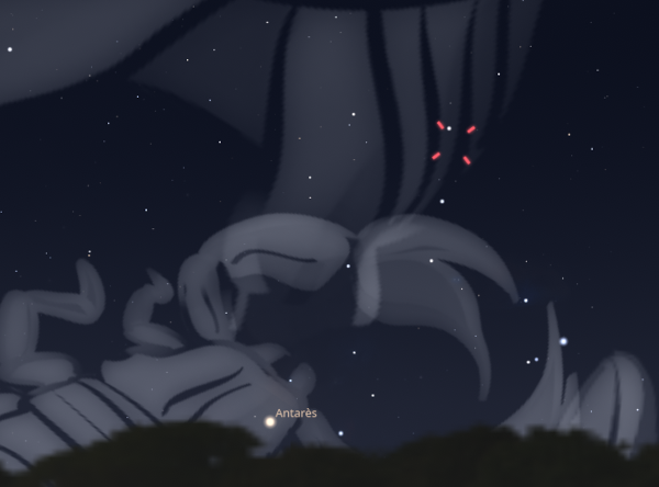 Capture d'écran de Stellarium montrant la position approximative de la comète dans le ciel à minuit ce soir. À condition que j'aie bien réussi à ajouter les bonnes coordonnées dans Stellarium, donc c'est à prendre avec des pincettes (comme celles du scorpion visible à côté).