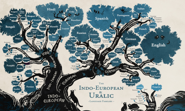 Représentation sous forme d'arbre (stylisé) des relations de parenté entre les différentes langues issues de l'indo-européen. On voit notamment, sur la droite de l'image, deux branches menant aux langues germaniques, dont notamment l'anglais et l'allemand, et aux langues romanes, ayant donné tous les descendants actuels du latin (espagnol, italien, portugais, français, etc.) Représentation sous forme d'arbre (stylisé) des relations de parenté entre les différentes langues issues de l'indo-européen. On voit notamment, sur la droite de l'image, deux branches menant aux langues germaniques, dont notamment l'anglais et l'allemand, et aux langues romanes, ayant donné tous les descendants actuels du latin (espagnol, italien, portugais, français, etc.)