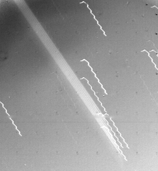 Photo de Jupiter prise par la sonde Voyager 1, trouvée sur Wikimédia Commons. On voit globalement la planète en fond flou, avec de petites taches en zig-zag toujours identiques et montrant donc surtout le déplacement de la sonde elle-même pendant la photo, mais dans la diagonale de l'image, on voit une série de traits parallèles qui ressemblent plutôt pas mal à des anneaux planétaires.