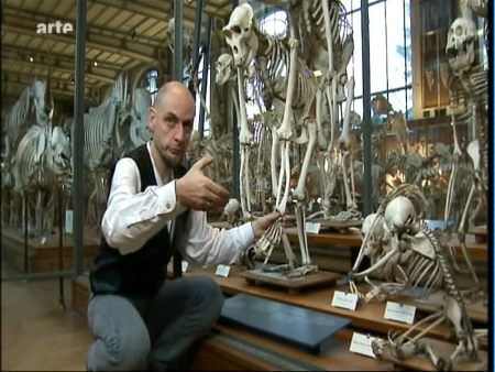 Guillaume Lecointre, dans une galerie du Muséum National d'Histoire Naturelle où il travaille. Cette image est encore une fois une capture d'écran du documentaire Espèces d'espèces, sur laquelle on voit le chercheur expliquer le rôle du pouce opposable des primates, en tenant pour ça la main d'un squelettes de gorilles en même temps qu'il fait avec la sienne un geste illustrant la préhension. Je vous ai déjà dit que trouver des illustrations pour certains pouets était ce qui me posait le plus de problème dans ces threads ? Guillaume Lecointre, dans une galerie du Muséum National d'Histoire Naturelle où il travaille. Cette image est encore une fois une capture d'écran du documentaire Espèces d'espèces, sur laquelle on voit le chercheur expliquer le rôle du pouce opposable des primates, en tenant pour ça la main d'un squelettes de gorilles en même temps qu'il fait avec la sienne un geste illustrant la préhension. Je vous ai déjà dit que trouver des illustrations pour certains pouets était ce qui me posait le plus de problème dans ces threads ?