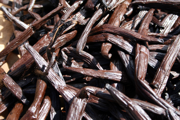 Photo, trouvée sur Wikipédia, d'un tas de gousses de vanille « bourbon », nom qui désigne la vanille produite à Madagascar et à la Réunion, et qui vient de l'ancien nom de cette dernière (à l'époque où la culture de la vanille y a été introduite, on l'appelait « l'île Bourbon », du nom de la famille royale française de l'époque). On voit ici des gousses après étuvage et séchage, donc pas tout à fait dans l'état dans lequel on les trouve dans la nature, même dans les endroits où la vanille pousse sans notre intervention. Ce n'est d'ailleurs pas le seul produit pour lequel on peut se demander comment la recette a été mise au point à la base, parce que ce n'est pas forcément à ça qu'on penserait spontanément.
