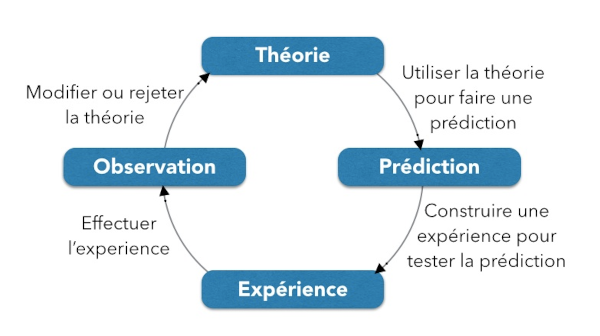 Schéma illustrant « la méthode scientifique », illustrant actuellement la page Wikipédia à ce sujet. On voit donc un schéma circulaire en quatre étapes : théorie (en haut), prédiction (à droite), expérience (en bas), observation (en bas), avec des flèches de l'une à l'autre étiquetées respectivement « Utiliser la théorie pour faire une prédiction », « Construire une expérience pour tester la prédiction », « Effectuer l'expérience », et enfin « Modifier ou rejeter la théorie ». Bon, c'est un schéma *très* réducteur, d'autant qu'en vrai, la science relève d'une même démarche, mais compte en pratique un certain nombre de méthodes différentes, donc résumer toute l'activité scientifique à ça est un peu court, mais ça correspond au moins à ce dont on est en train de parler ici, et puis on rentrera sans doute dans les détails et sur d'autres façons de faire dans d'autres threads.