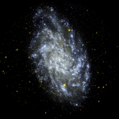 Photo, prise par le télescope spatial Hubble, de la galaxie du Triangle, dans laquelle l'astronome Hubble a identifié des étoiles dont la distance est mesurable, permettant de déterminer que cet objet est situé loin à l'extérieur de notre Voie lactée. Les progrès techniques réalisés depuis font qu'on distingue plutôt bien visuellement cette galaxie d'une des nébuleuses présentées les photos qui suivent ; mais ça devait être beaucoup plus délicat avec les instruments dont on disposait il y a un siècle.