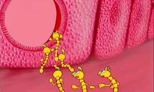 Capture d'écran du dessin animé Il était une fois la vie, où on voit un groupe de virus attaquer une cellule. Capture d'écran du dessin animé Il était une fois la vie, où on voit un groupe de virus attaquer une cellule.