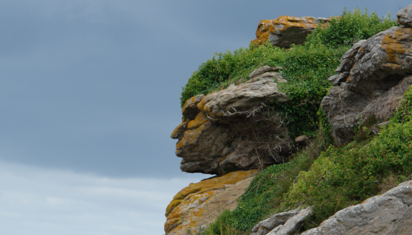 Photo, trouvée sur la page Wikipédia dédiée aux paréidolies, d'un « visage indien » visible dans les rochers de l'archipel des Ébihens. C'est en réalité à une bonne heure de route de Lannion, à l'autre extrémité de la baie de Saint-Brieuc, mais quand même toujours dans les Côtes d'Armor. Et donc on voit globalement un amas de rocher dont la forme de celui au centre de l'image évoque assez clairement un visage vu cette fois de profil, avec un menton, une bouche qui semble cette fois peut-être faire la moue, un nez, et le renfoncement des yeux. Détail qui est possible ici mais pas sur Mars : la végétation au dessus de ce rocher vient améliorer l'impression générale en lui dessinant une chevelure.