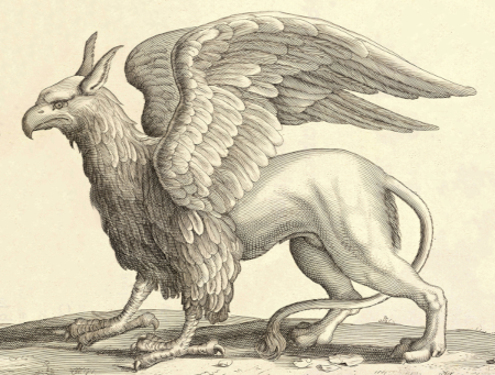 Illustration d'un Griffon issu d'un livre de classification des animaux du ⅩⅦème siècle, mis à disposition sur Wikimédia Commons par l'université de Toronto. On y voit l'animal mythologique qui ressemble plus ou moins à un aigle à la place de la queue duquel on aurait greffé l'arrière-train d'un lion. L'imaginaire antique était peuplé de créatures de ce style, mais les plumes de l'aigle et les poils du lion, par exemple, sont deux caractères apparus chez deux classes de vertébrés nettement séparées (les oiseaux et les mammifères), et ne peuvent donc pas cohabiter au sein d'un même individu. De plus, les ailes des oiseaux étant des pattes avant modifiées, un tel animal aurait donc six membres, ce qui n'existe chez aucun vertébré terrestre (toutes les classes de vertébrés à l'exception des poissons sont réunies au sein d'une branche appelée « tétrapode », ainsi nommée en raison d'une forme générale à quatre pattes. Certaines espèces en ont perdu par la suite, mais jusque là, aucune n'en a eu de nouvelles qui sont apparues). L'évolution nous prédit donc que nous ne rencontrerons jamais d'animal passé ou actuel ressemblant à ça. On peut d'ailleurs noter que dès l'antiquité, une partie du boulot d'Aristote a consisté à trier les animaux existants dans la vraie vie de ceux qui ne faisaient que peupler notre imaginaire. Illustration d'un Griffon issu d'un livre de classification des animaux du ⅩⅦème siècle, mis à disposition sur Wikimédia Commons par l'université de Toronto. On y voit l'animal mythologique qui ressemble plus ou moins à un aigle à la place de la queue duquel on aurait greffé l'arrière-train d'un lion. L'imaginaire antique était peuplé de créatures de ce style, mais les plumes de l'aigle et les poils du lion, par exemple, sont deux caractères apparus chez deux classes de vertébrés nettement séparées (les oiseaux et les mammifères), et ne peuvent donc pas cohabiter au sein d'un même individu. De plus, les ailes des oiseaux étant des pattes avant modifiées, un tel animal aurait donc six membres, ce qui n'existe chez aucun vertébré terrestre (toutes les classes de vertébrés à l'exception des poissons sont réunies au sein d'une branche appelée « tétrapode », ainsi nommée en raison d'une forme générale à quatre pattes. Certaines espèces en ont perdu par la suite, mais jusque là, aucune n'en a eu de nouvelles qui sont apparues). L'évolution nous prédit donc que nous ne rencontrerons jamais d'animal passé ou actuel ressemblant à ça. On peut d'ailleurs noter que dès l'antiquité, une partie du boulot d'Aristote a consisté à trier les animaux existants dans la vraie vie de ceux qui ne faisaient que peupler notre imaginaire.