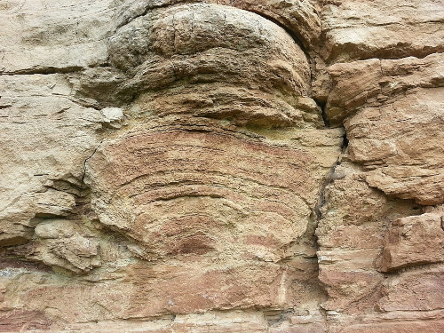 Photographie de stromatolithe fossile. Il s'agit d'une structure principalement de calcaire, constituée par sédimentation en eaux peu profondes à partir d'êtres vivants microscopiques, semblables aux bactéries. Les plus anciennes de ces traces datent d'il y a au moins 3,5 milliards d'années. Photographie de stromatolithe fossile. Il s'agit d'une structure principalement de calcaire, constituée par sédimentation en eaux peu profondes à partir d'êtres vivants microscopiques, semblables aux bactéries. Les plus anciennes de ces traces datent d'il y a au moins 3,5 milliards d'années.