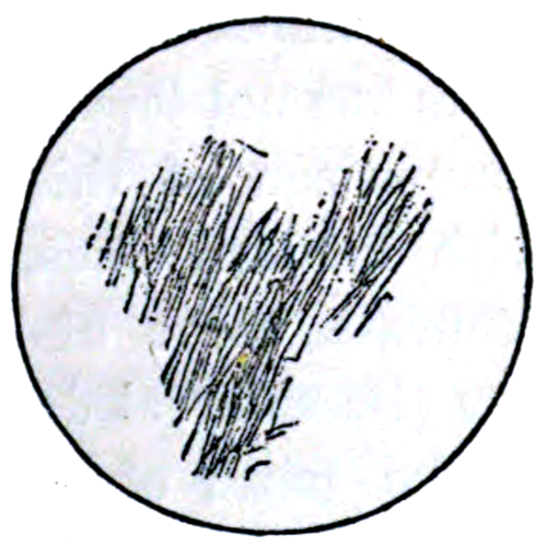 Croquis de Mars réalisé par Huygens, et plus ancien dessin que l'on connaisse de la surface de notre voisine. On voit globalement un cercle blanc représentant la planète, avec à l'intérieur une partie colorée en noir, dont la forme évoque trèèèèèèès vaguement celles de l'Afrique et de la péninsule arabique, si on a beaucoup d'imagination. C'est très peu, mais ça correspond quand même plutôt bien (dans mon planétarium, je peux la superposer assez bien à la planète Mars qu'on a dans notre système). Cette région est plus sombre que le reste car ses roches sont d'origine volcanique, liées notamment au volcan Syrtis Major (voir l'alt-text du premier pouet).