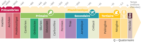 Frise chronologique complète de l'histoire de la Terre. Malgré leur longueur, les trois éons du précambrien sont resserrés sur le côté, pour laisser autant de place que possible aux trois ères du dernier éon. On voit donc le Paléozoïque dont les périodes ont l'air d'avoir une échelle un peu mieux respectées, puis le Mésozoïque avec ses trois célèbres périodes, puis le Cénozoïque, divisé en Paléogène et Néogène. Ce schéma date un peu, car on voit ici le Quaternaire compté comme une ère à part plutôt que comme une période du Cénozoïque… et d'ailleurs les trois ères précédentes sont appelées « primaire », « secondaire » et « tertiaire », ce qui n'est plus utilisé aujourd'hui.