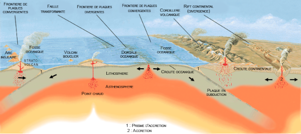 Schéma général du mouvement des plaques, trouvé sur la page Wikipédia dédiée à la tectonique et montrant en particulier les différents types de volcanisme qui y sont liés. On voit une vue en coupe de la croûte terrestre, avec trois plaques océaniques et deux plaques continentales. Tout à gauche, une plaque océanique glisse sous l'autre, ce qui fait apparaître une fosse océanique et cause la formation d'un arc insulaire, une série d'îles volcaniques. Un peu plus loin, un point chaud est visible dans la seconde plaque, mais pour plus de détails au sujet des points chauds, je vous renvoie au thread sur les volcans. Vers le milieu de l'image, on voit une dorsale océanique, c'est-à-dire une zone d'accrétion causée par la divergence entre deux plaques. De l'autre côté de cette dorsale, la plaque océanique plonge sous la croûte continentale (qui sont les moins denses de toutes et donc restent environ toujours en surface) ce qui provoque la formation d'une chaîne de montagnes, plus précisément une cordillère volcanique. Enfin, tout à droite de l'image, on voit un rift continental, ce qui est l'équivalent d'une dorsale océanique et montre que les plaques continentales situées de part et d'autres s'écartent elles aussi l'une de l'autre, comme c'est le cas actuellement dans le rift est-africain.