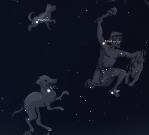 Capture d'écran de Stellarium avec cette fois de beaux dessins plutôt que juste des traits tracés entre les étoiles, on voit que le grand et le petit chien sont situés juste à côté de la constellation d'Orion. Les noms des étoiles Sirius, Procyon, Bételgeuse et Rigel sont indiqués.