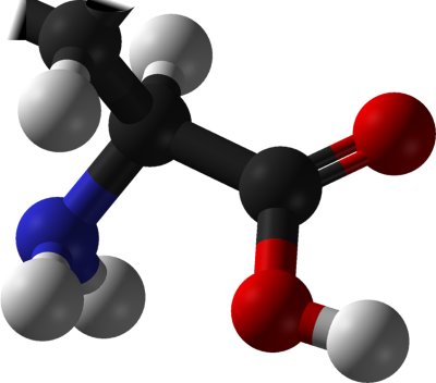 Image de modèles moléculaires représentant la partie caractéristique d'un acide aminé, par des boules reliées entre elles symbolisant les atomes et leurs liaisons. En haut à gauche, on voit la liaison vers le reste de la molécule, située hors de l'image et dont on ne voit qu'un carbone, en noir et un hydrogène, en blanc. Cette partie est reliée à un atome de carbone avec trois autres liaisons : un atome d'hydrogène, un atome d'azote (en bleu) lui-même relié à deux hydrogènes, et un dernier carbone relié à deux atomes d'oxygène (en rouge), l'un lié aussi à un atome d'hydrogène, l'autre présentant une double-liaison avec le carbone.