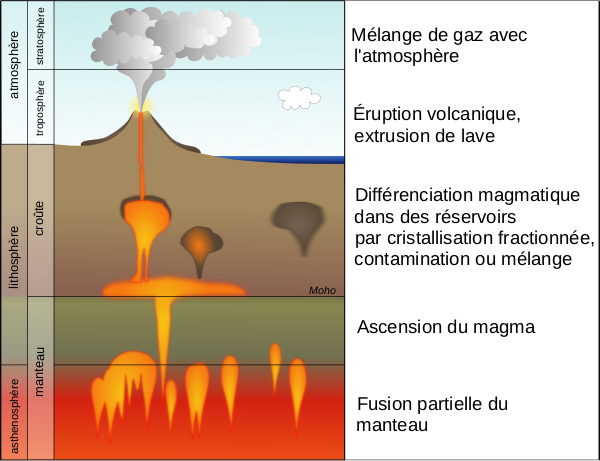 Schéma de fonctionnement d'un volcan, trouvé sur la page Wikipédia dédié aux chambres magmatiques et qui a le bon goût de descendre un peu plus profondément (la plupart des schémas de ce type n'allant pas plus bas que ladite chambre). On voit donc en bas l'asthénosphère, une partie en profondeur du manteau où a lieu la fusion partielle, puis le magma qui remonte jusqu'à une première chambre magmatique située dans la lithosphère, à la limite entre le manteau et la croûte terrestre. D'autres chambres plus petites sont situées encore un peu plus haut, puis une cheminée permet à la lave de remonter jusqu'en surface où se situe le volcan, ici montré en train de cracher un panache de gaz qui se mélangera avec l'atmosphère.