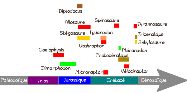 Schéma très approximatif réalisé par mes soins situant un peu les animaux dont nous venons de parler. La position en largeur donne une idée du moment auquel ils ont vécu : coelophysis à la transition entre le Trias et le Jurassique, dimorphodon au tout début du jurassique, allosaure, stégosaure et diplodocus à la fin de cette période, puis microraptor, utahraptor et iguanodon vers le début-milieu du Crétacé, spinosaure, ptéranodon, protocératops et vélociraptor vers le milieu-fin de la période, et tyrannosaure, tricératops et ankylosaure à la toute fin. Le placement en hauteur, beaucoup moins rigoureux, donne une idée de leur taille (diplodocus étant de loin le plus gros, puis les trois gros prédateurs, puis l'utahraptor, le ptéranodon et les quatre gros herbivores, puis enfin le coelophysis, le protocératops, le dimorphodon, et les deux petits raptors). Chaque famille possède sa propre couleur.