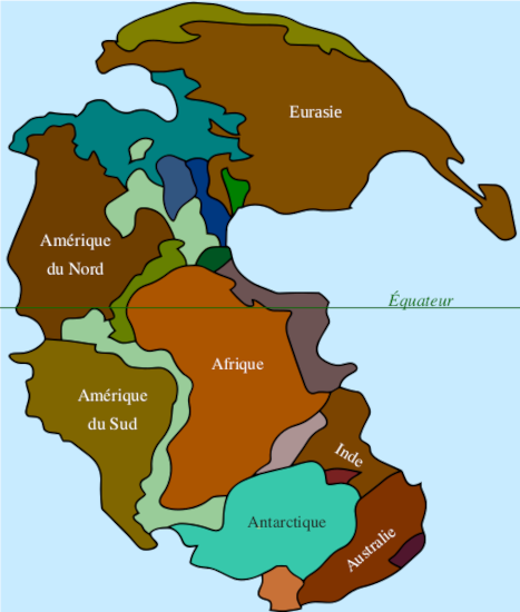 Carte de la Pangée (mot qui signifie donc « toute la Terre » en grec) telle qu'on peut de nos jours la reconstituer informatiquement, les différentes couleurs utilisées permettant de retrouver les positions qu'avaient à l'époque les continents actuels (Eurasie, Amérique du Nord et du Sud, Afrique, Antarctique, Australie, et donc Inde, qui à l'époque était reliée aux deux précédentes). On note que même si l'on peut assez bien reconnaître certains morceaux, les formes ont quand même pas mal changé depuis.