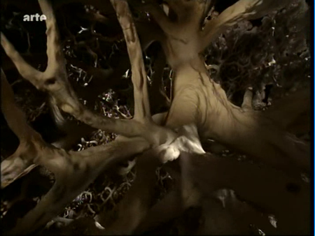 Encore une capture d'écran du documentaire Espèces d'espèces, où on voit un zoom sur leur arbre du vivant, dans lequel plein de branches partent dans tous les sens. Chaque branche est le résultat d'une division, et se prolonge jusqu'à extinction de l'espèce ou jusqu'à division en deux nouvelles branches. En réalité, si on zoomait jusqu'au niveau des individus, on verrai plutôt un réseau, chaque branche correspondant à une suite de générations dans lesquelles plein d'individus se reproduisent avec plein d'autres. Encore une capture d'écran du documentaire Espèces d'espèces, où on voit un zoom sur leur arbre du vivant, dans lequel plein de branches partent dans tous les sens. Chaque branche est le résultat d'une division, et se prolonge jusqu'à extinction de l'espèce ou jusqu'à division en deux nouvelles branches. En réalité, si on zoomait jusqu'au niveau des individus, on verrai plutôt un réseau, chaque branche correspondant à une suite de générations dans lesquelles plein d'individus se reproduisent avec plein d'autres.