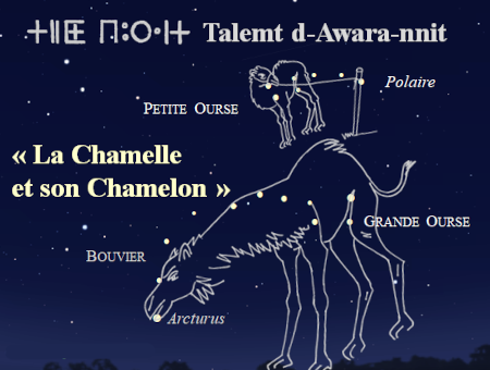 Image venue de la page sur la grande ourse sur Wikipédia montrant le ciel vu par les touaregs : la grande et la petite ourse y deviennent une chamelle et son chamelon, sans doute parce que les ours sont moins fréquents dans les régions où vivent les touaregs.