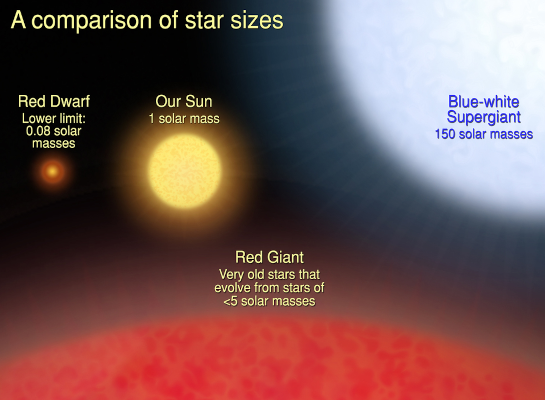 Comparaison de taille entre quatre étoiles : une naine rouge de 0,08 masses solaires, une naine jaune semblable à notre Soleil, une super-géante bleue de 150 masses solaires, et, en bas et beaucoup plus grosse, une géante rouge, résultat de l'emballement d'une étoile inférieure à cinq masses solaires à la fin de sa vie. Si cette dernière est donc à classer à part, les trois autres sont d'autant plus lumineuses qu'elles sont lourdes.
