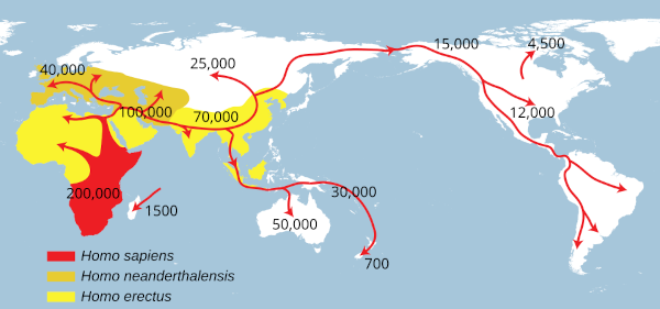Carte des dispersions successives d'Homo erectus, Homo neanderthalensis et Homo sapiens. Les premiers se sont installés dans toute l'Afrique et toute la moitié sud de l'Asie, les seconds ont poussé jusqu'au bassin méditerranéen, tandis que notre espèce a fini par occuper à peu près toutes les terres émergées.