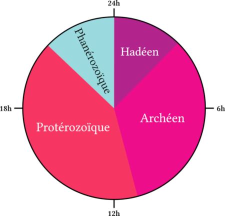 Schéma trouvé sur Wikipédia montrant les quatre éons de notre planète ramenés à une journée de 24h, pour se faire une meilleure idée de leur durées respectives (même si la forme on compare ça par habitude avec une horloge sur 12h et donc ça ne marche pas si bien que ça) : l'Hadéen commence à minuit et finit un peu avant trois heures du matin, puis l'Archéen prend le relai jusqu'à onze heures du matin. Le Protérozoïque dure alors jusqu'à vingt-et-une heures, occupant la plus grande des quatre zones de temps, et il ne reste plus qu'une durée comparable à celle de l'Hadéen pour le Phanérozoïque, représenté ainsi, il est présentement minuit.