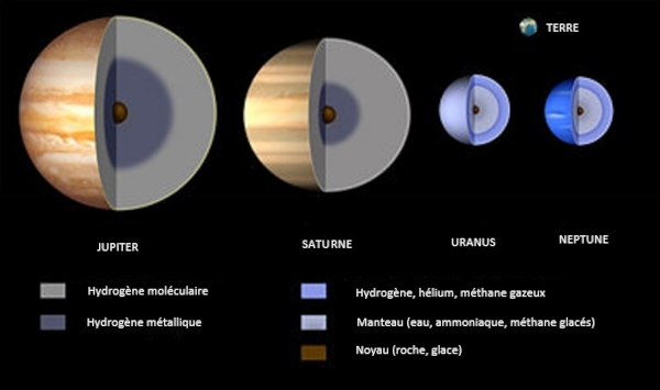 Schéma présentant l'intérieur des planètes gazeuses, trouvées sur Wikimédia Commons. On voit Jupiter, Saturne, Uranus et Neptune côte à côte, à l'échelle de taille (les anneaux ne sont pas représentées), avec une vue en coupe permettant de déterminer la taille des différentes couches. Jupiter et Saturne ont une couche extérieure assez vaste composée essentiellement d'hydrogène moléculaire, principalement gazeux, donc, puis une couche interne beaucoup plus petite où la pression est tellement élevé que l'hydrogène prend une forme métallique, un truc bizarre qu'on a un peu de mal à reproduire sur Terre il me semble. Les deux géantes glacées, Uranus et Neptune, ont une composition un peu différente, avec une couche extérieure plus fine contenant également pas mal d'hélium et de méthane, toujours gazeux, et un manteau contenant pas mal de glaces d'eau, d'ammoniaque et de méthane. Les quatre planètes ont également un noyau solide (de roche et de glace), mais beaucoup plus petit (ceux de Jupiter et Saturne font environ la taille de la Terre, donnée pour comparaison). Il me semble cependant que cette image date un peu, car je crois qu'on a fait quelques découvertes récentes qui bouleversent un peu nos connaissances de la structure interne de Jupiter, mais je n'ai plus trop les détails en tête. En tout cas, c'est assez différent de la composition interne d'une planète tellurique comme la Terre, qu'on a déjà rapidement évoqué dans des threads portant plus sur la géologie.
