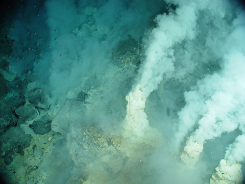 Photo de « fumeurs blancs », une des formes que peuvent prendre les volcans sous-marins de notre planète. On voit le fond de l'océan, et des panaches de fumée qui remontent vers la surface. Ces endroits, qui semblent assez peu accueillants pour nous, sont en fait des zones grouillant de vie.