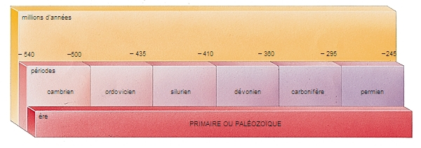 Tableau à la géométrie un peu bizarre montrant les différentes périodes du Paléozoïque (anciennement appelé « ère primaire », ce qui est aussi mentionné ici). On voit que les différentes périodes s'appellent Cambrien (-540 à -500 millions d'années), Ordovicien (-500 à -435 millions d'années), Silurien (-435 à -410 millions d'années), Dévonien (-410 à -380 millions d'années), Carbonifère (-380 à -295 millions d'années), et enfin Permien (-295 à -245 millions d'années). L'échelle semble très approximative, mais je n'ai pas en le temps de chercher mieux.