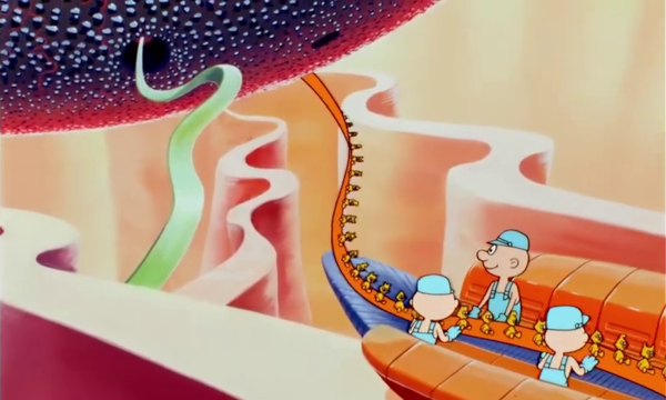 Capture du dessin animé Il était une fois la vie dans lequel on voit un ribosome, ici représenté comme une sorte de machine d'usine qui récupère l'ARN messager en provenance du noyau et assemble les protéines à partir de là. Dans la vraie vie, il me semble que le ribosome est proportionnellement plus petit et que c'est lui qui se déplace sur l'ADN, mais je ne suis pas sûr.