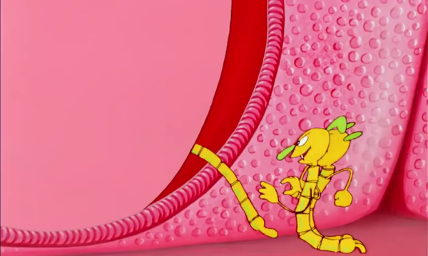 Capture du dessin animé Il était une fois la vie, dans lequel on voit un groupe de virus, représentés par des sortes de petits vers avec une tête typique de méchant de dessin animé, en train de se glisser à l'intérieur d'une cellule. Dans l'un des autres épisodes, on les voit injecter leur ARN dans un ribosome, mais toutes les captures que j'ai utilisé ici proviennent de l'épisode « la planète cellule » dans lequel cette séquence n'apparaît pas, donc j'ai pris celle-ci à la place.