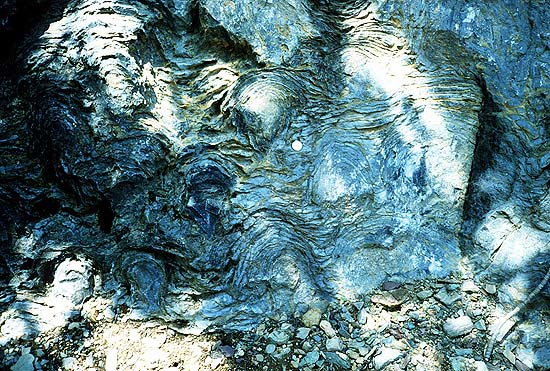 Stromatolithes fossilisés, datant d'il y a 3,4 milliards d'années. Il s'agit d'une des plus anciennes traces de vie découvertes sur Terre. On voit surtout de la roche sur laquelle se dessinent des formes étranges.