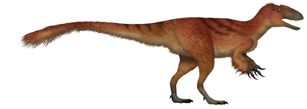 Vue d'artiste d'un Yutyrannus, trouvée sur Wikimédia Commons. Le plumage est ici représenté en brun, mais, à ma connaissance, nous ne savons pas quelle couleur il avait. On peut voir en revanche, dessiné ainsi, qu'il ressemble à un (très) gros raptor, mais sans la griffe spécifique aux pattes et avec des bras légèrement plus courts, ce qui est logique puisqu'il fait partie de la famille du T-rex et pas de celle des dromaeosaures.