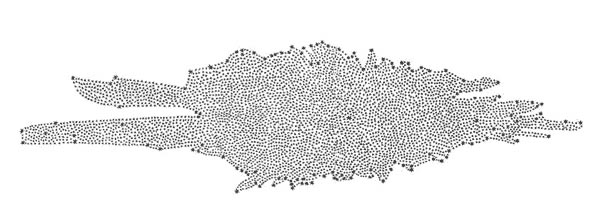 « Carte » de la galaxie telle que représentée par Caroline Herschel. Difficile de décrire la forme, globalement allongée avec de nombreux petits points représentant les étoiles.