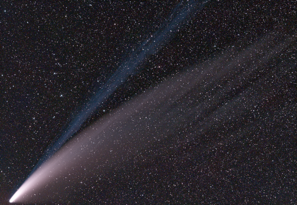 Photographie de la comète Neowise de 2020 sur fond de ciel étoilée. Le corps cométaire est tout en bas à gauche, et derrière lui, on distingue assez nettement une longue queue blanche légèrement courbée, et à côté d'elle, une queue bleue plus sombre, et bien droite pour sa part.