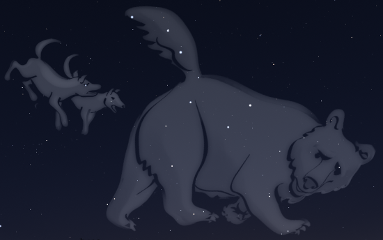 Capture de Stellarium montrant des dessins pour ces deux constellations, les chiens de chasse et la grande ourse, donnant l'impression que les chiens poursuivent l'ourse. Aucun nom d'étoile n'est indiqué, mais on reconnaît, dans le dessin de la grande ourse, la position de ses sept étoiles principales dans une forme approximative de casserole.